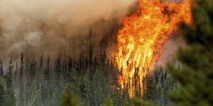 Πυρκαγιές στον Καναδά