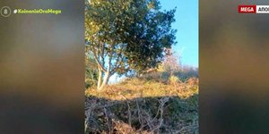 Πλάνο από την κατολίσθηση στην Ηλεία