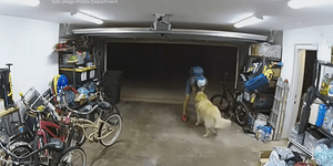 ΗΠΑ: Άντρας έκλεψε ποδήλατο από γκαράζ, αφού πρώτα έπαιξε με τον σκύλο του σπιτιού