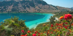 Φωτογραφία: shutterstock