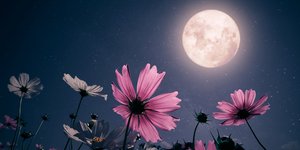 Πανσέληνος Αυγούστου