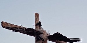 Πάρος κοράκι σταυρωμένο Πούντα
