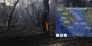 Κάηκαν μισό εκατομμύριο στρέματα από τις πυρκαγιές του Ιουλίου στην Ελλάδα