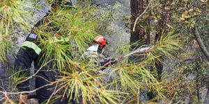 Πυροσβέστες επιχειρούν στον Εβρο 