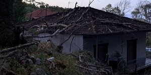 Πλάτανος καταπλάκωσε σπίτι στα Τρίκαλα / Φωτογραφία: Trikalavoice.gr