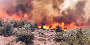 Φωτιά στη Βοιωτία: Εκκενώθηκαν 4 χωριά στο Δίστομο	