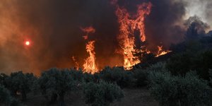 Μαίνεται η φωτιά στη Βοιωτία 