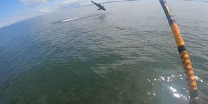 Ψαράς στον Καναδά πιάνει με πετονιά λευκό καρχαρία 