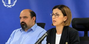Χρήστος Τριαντόπουλος, Ειρήνη Αγαπηδάκη