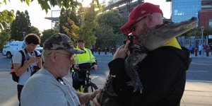 Απαγόρευσαν την είσοδο σε φίλαθλο με... αλιγάτορα για κατοικίδιο συναισθηματικής υποστήριξης