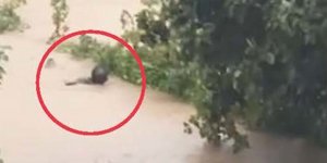 Δήμαρχος Σκιάθου χείμαρρος κακοκαιρία Daniel