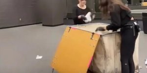 Ενα δωμάτιο γεμάτο σουτιέν: Ποιος καλλιτέχνης έχει αυτή τη συλλογή στο σπίτι του 