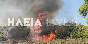 Φωτιά από κεραυνό στην Ηλεία