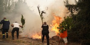 Πυροσβέστες στη μάχη της φωτιάς στη Σταμάτα