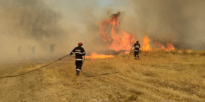 Κομισιόν για φωτιές στην χώρα μας: Ελλάδα δεν είσαι μόνη, συνεχίζουμε την βοήθεια
