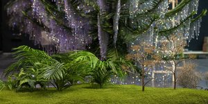 φυτα δεντρα κρυσταλοι 