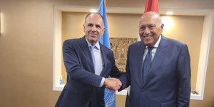 Συνάντηση Γεραπετρίτη με τον ΥΠΕΞ της Αιγύπτου