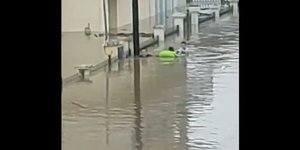 Καρδίτσα Παλαμάς γυναίκα