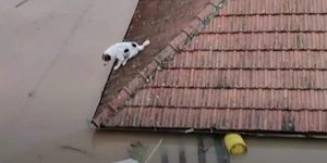 Παλαμάς Καρδίτσας νερό βροχόπτωση