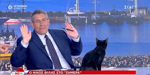 Μαύρη γάτα εισέβαλε στο στούντιο του ΣΚΑΪ