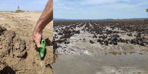 Οι πλημμύρες επηρέασαν τη γονιμότητα του εδάφους στη Θεσσαλία