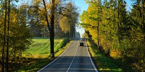 Το μυστήριο με τα παρατημένα σάντουιτς στην άκρη του δρόμου που έγινε viral