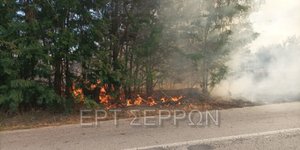 Σέρρες φωτιά σύλληψη