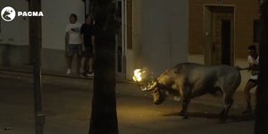 «Φλεγόμενος» ταύρος υπέστη πραγματικό βασανιστήριο στην Ισπανία