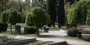 Άλσος στην Αττική