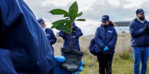 ΑΡΧΕΙΟ ΕΥΔΑΠ - Δενδροφύτευση ΕΥΔΑΠ στο πλαίσιο της Εβδομάδας Νερού, 21-24 Μαρτίου 2022