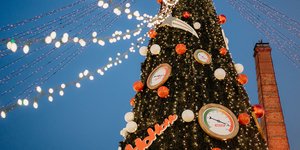 δεντρο φουγαρο