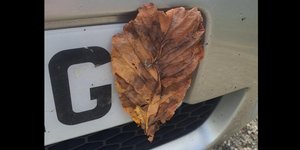 Tι έκανε ένας οδηγός για να αποφύγει το πρόστιμο της Τροχαίας