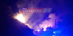 Φωτιά στο Δασύλλιο της Πάτρας