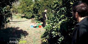 Η «Γη της Ελιάς» επιστρέφει απόψε στους τηλεοπτικούς μας δέκτες με ένα νέο επεισόδιο