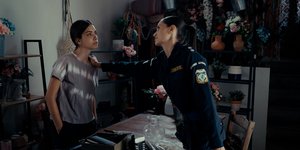 Η Γη της Ελιάς