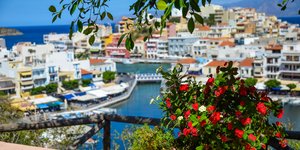 γλαστρα πεζουλι κρητη