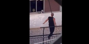 Κακοποίηση σκύλου στο Πέραμα