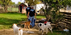 Κοινή δράση #ΝοviPet και Save a Greek Stray στην Καρδίτσα