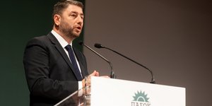 Νίκος Ανδρουλάκης