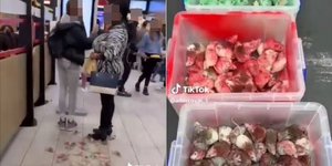 Παλαιστίνη, ποντίκια