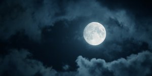 Φωτογραφία: Shutterstock