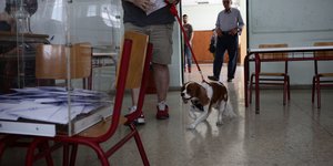 Κάλπη και ένας σκύλος