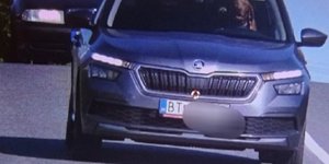 Σκύλος οδηγός