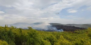 Φωτιά στις Μαριές Ζακύνθου
