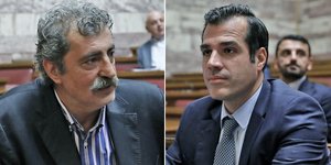 Θάνος Πλεύρης