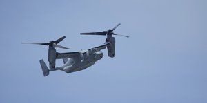 Osprey