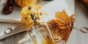 Φωτογραφία:pexels/@frosty-ilze