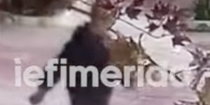 Βίντεο με τον δράκο μετά την επίθεση σε γυναίκα στη Γλυφάδα