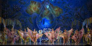 μπαλετο μεγαρο 