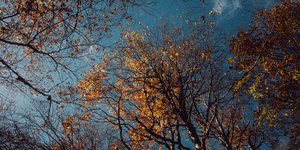 Γλυκός φθινοπωρινός καιρός